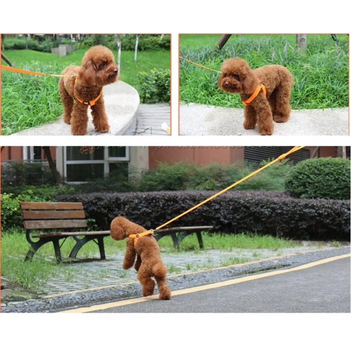 DailyTech Ayarlanabilir LED Işıklı Pet Köpek Göğüs Tasması Kemeri