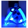 DailyTech Ayarlanabilir LED Işıklı Pet Köpek Göğüs Tasması Kemeri
