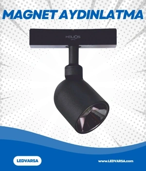 20W MAGNET