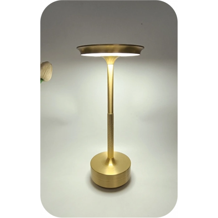 3 RENK DİMLENEBİLİR C TYPE ŞARLI FURTUNA LED MASA LAMBASI