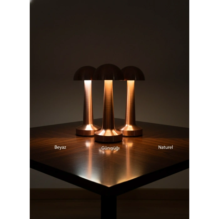 Fides Mantar Tasarım Dokunmatik Taşınabilir Şarjlı Masa Lambası - 3 Renk Modlu