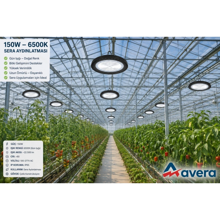 Fora UFO Highbay LED Armatür | 160 lm/W IP66 Endüstriyel Fabrika & Depo LED Aydınlatma