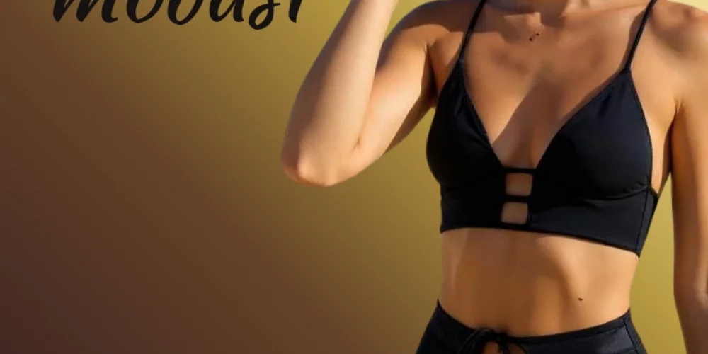 Ücretsiz XML Bayilik Veren Firmalar ve Teknik Altyapı Gücü