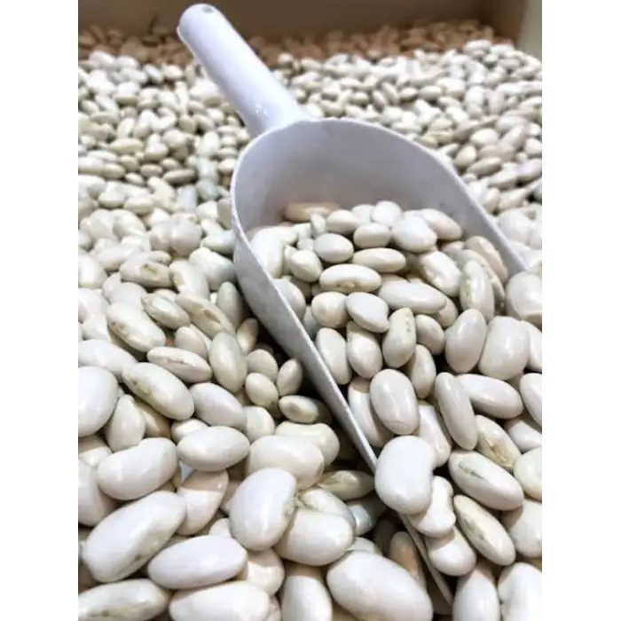 Erzincan Dermason Fasulye 1 Kg