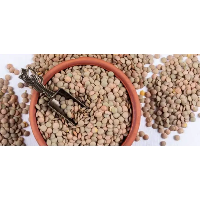 Yeşil Mercimek 1 Kg