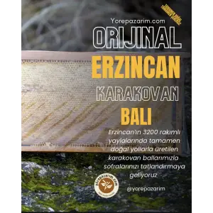 Erzincan Karakovan Balı Petek 1100 Gr