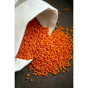 Kırmızı Mercimek 1 Kg