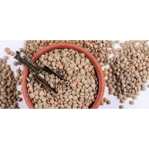 Yeşil Mercimek 1 Kg