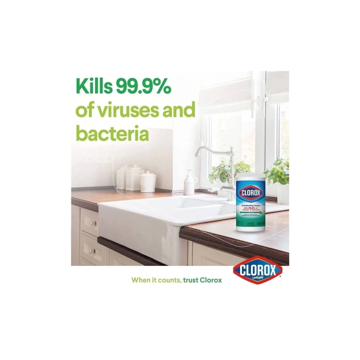Disinfecting Wipes Fresh Scent 75 Adet