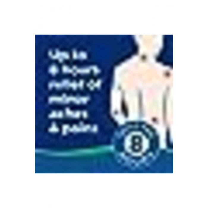 Hısamıtsu Large 6 Adet Yakı