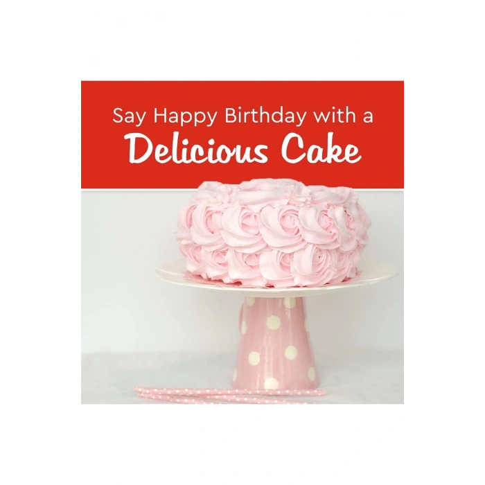 Hines Clasıc White Cake Mix 432 gr