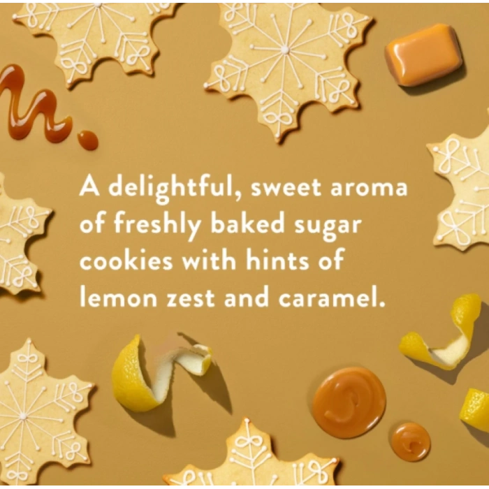 Native Sugar Cookıe Alumınum free Paraben Free Stick Deodorant 75 g