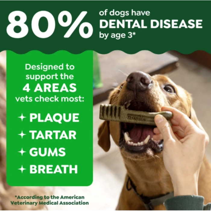 Greenies Dental Treats Orıgınal Doğal Köpek 170 gr