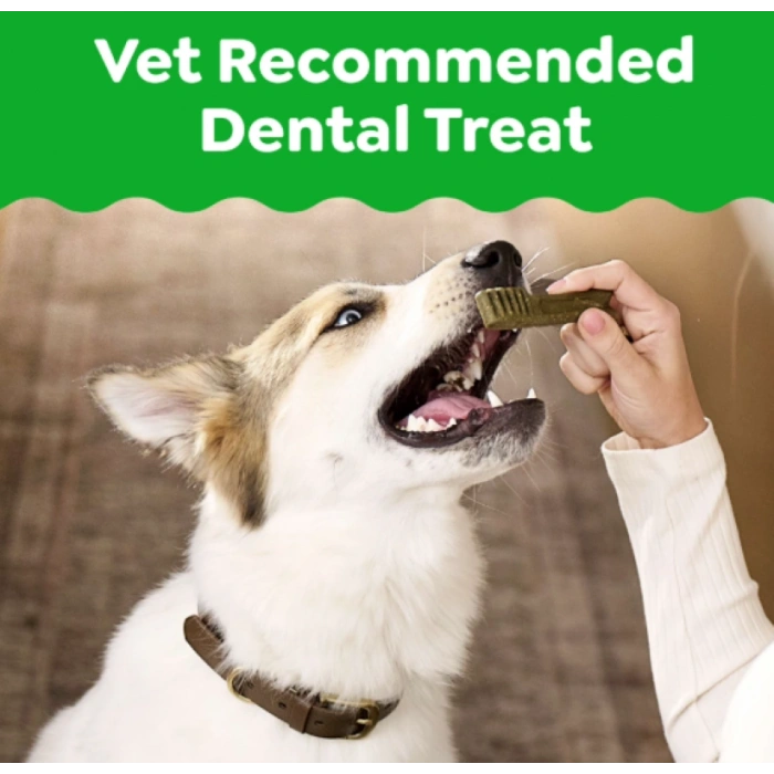 Greenies Dental Treats Orıgınal Doğal Köpek 170 gr