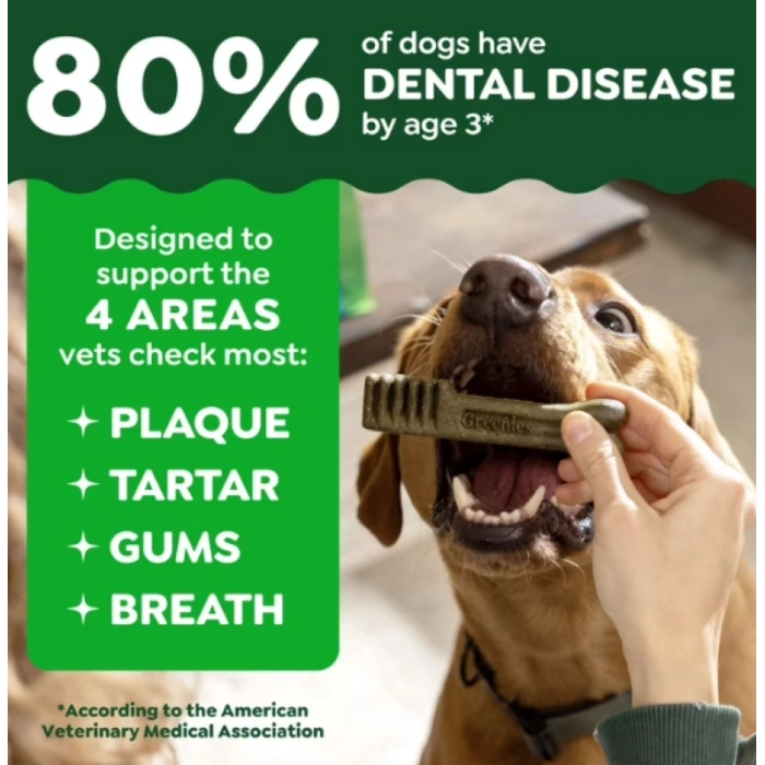 Greenies Dental Treats Fresh Doğal Nane Aromalı Diş Bakım Ödülleri TEENIE 2-7 Kg arası Köpekler İçin