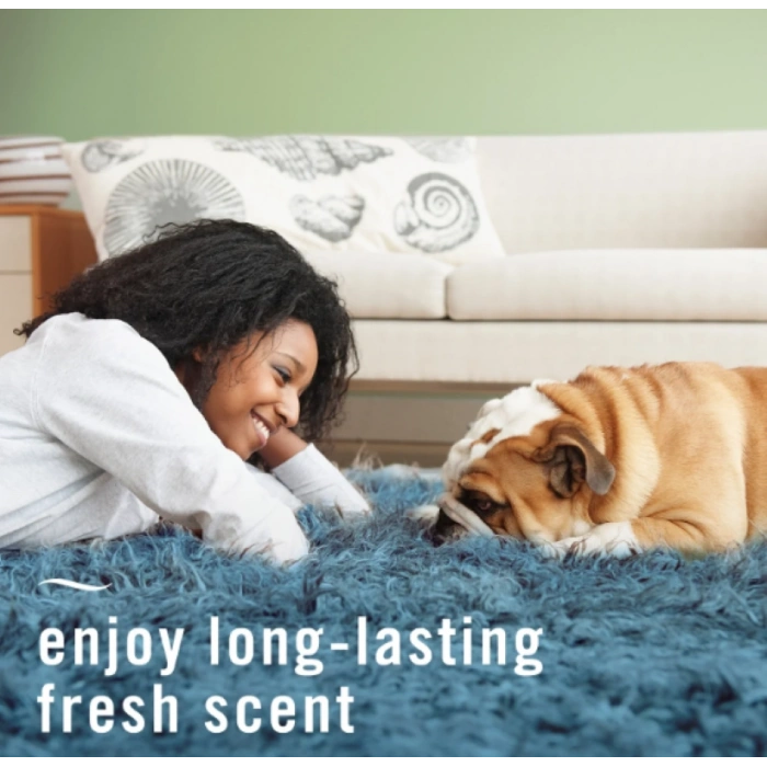 Febreze Fabrıc Pet Odor Fıghter Fıghts Odors & Freshens Fresh Scent Fabric Refresher 700 ml