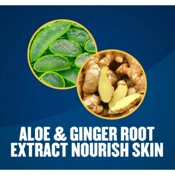 Gold Bond No Mess Body Powder Fresh Scent Aloe & Ginger Root Extract Triple Actıon Formula 198 g