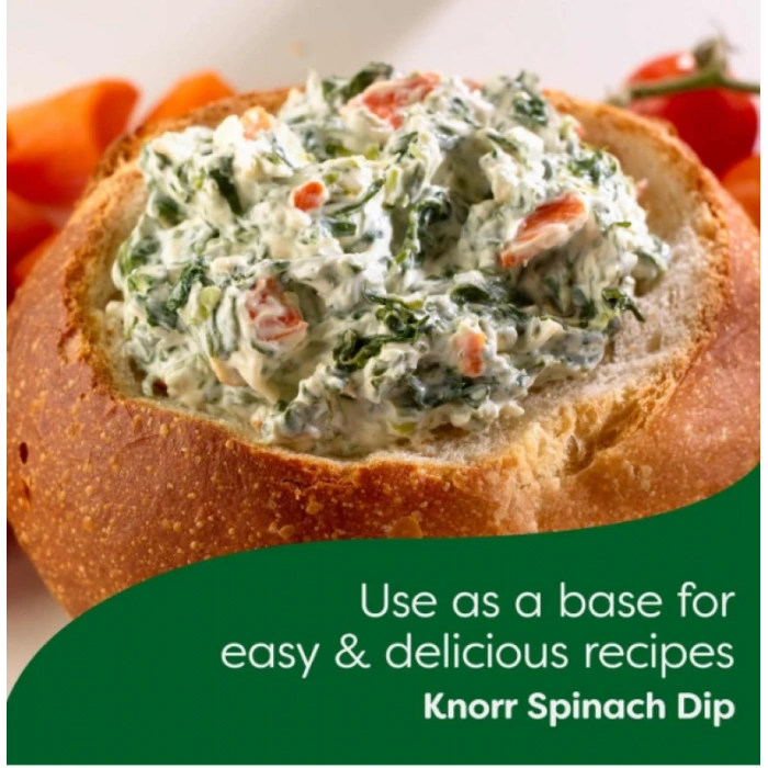 Knorr Vegetable Recıpe Mıx 40 gr