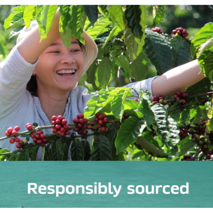 Nescafe Espresso Concentrate % 100 Arabıca Coffee Black 20 Cups 300 ml