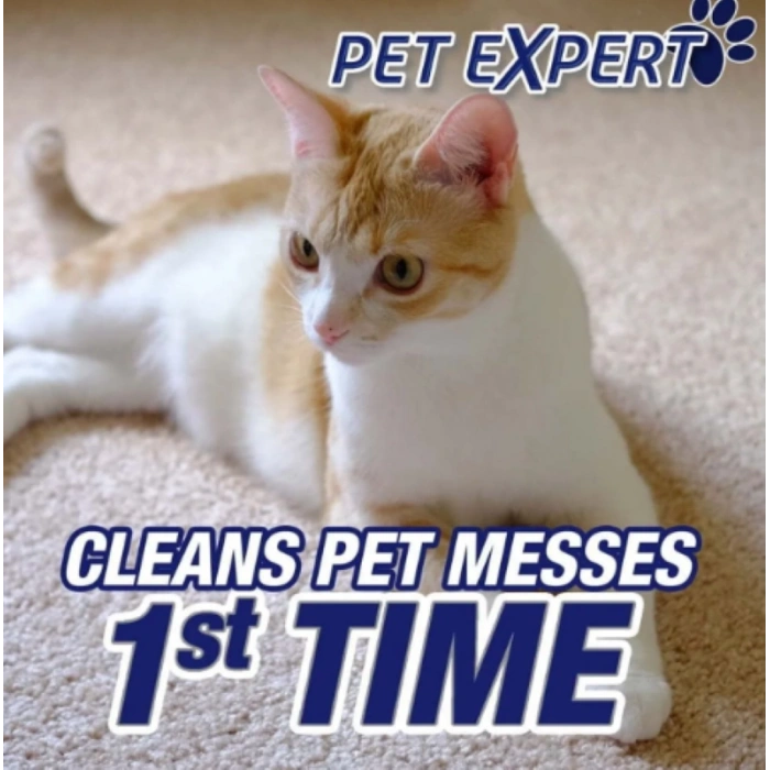 Resolve Pet Expert With Odor Stop Halı Temizleme Köpüğü 623 gr