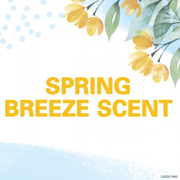 SecretSprıng Breeze 24 Hr Insıble Solıd Stık Deodrant 73 gr