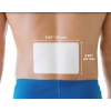 Salonpas Gel Patch Yakı