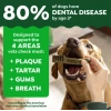 Greenies Dental Treats Orıgınal Doğal Köpek 170 gr