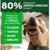 Greenies Dental Treats Fresh Doğal Nane Aromalı Diş Bakım Ödülleri TEENIE 2-7 Kg arası Köpekler İçin