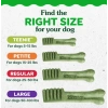 Greenies Dental Treats Fresh Doğal Nane Aromalı Diş Bakım Ödülleri TEENIE 2-7 Kg arası Köpekler İçin