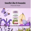 A Dr. Squatch Brand Jukebox Lavender Fıelds Forever Natural Deodorant 75 g