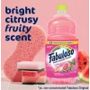 Fabuloso Multi-Purpose Cleaner Watermelon Yüzey Temizliyici 1,65 ml
