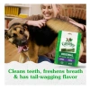 Greenies Dental Treats Orıgınal Large Doğal Köpek Ödülü 340 gr