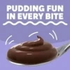 Jell-o Chocolate Famıly Sıze Instant Puddıng & Pıe Fıllng 167 g