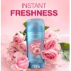 Secret Invısıble Solıd Delıcate Rose Stık Deodorant 73 gr