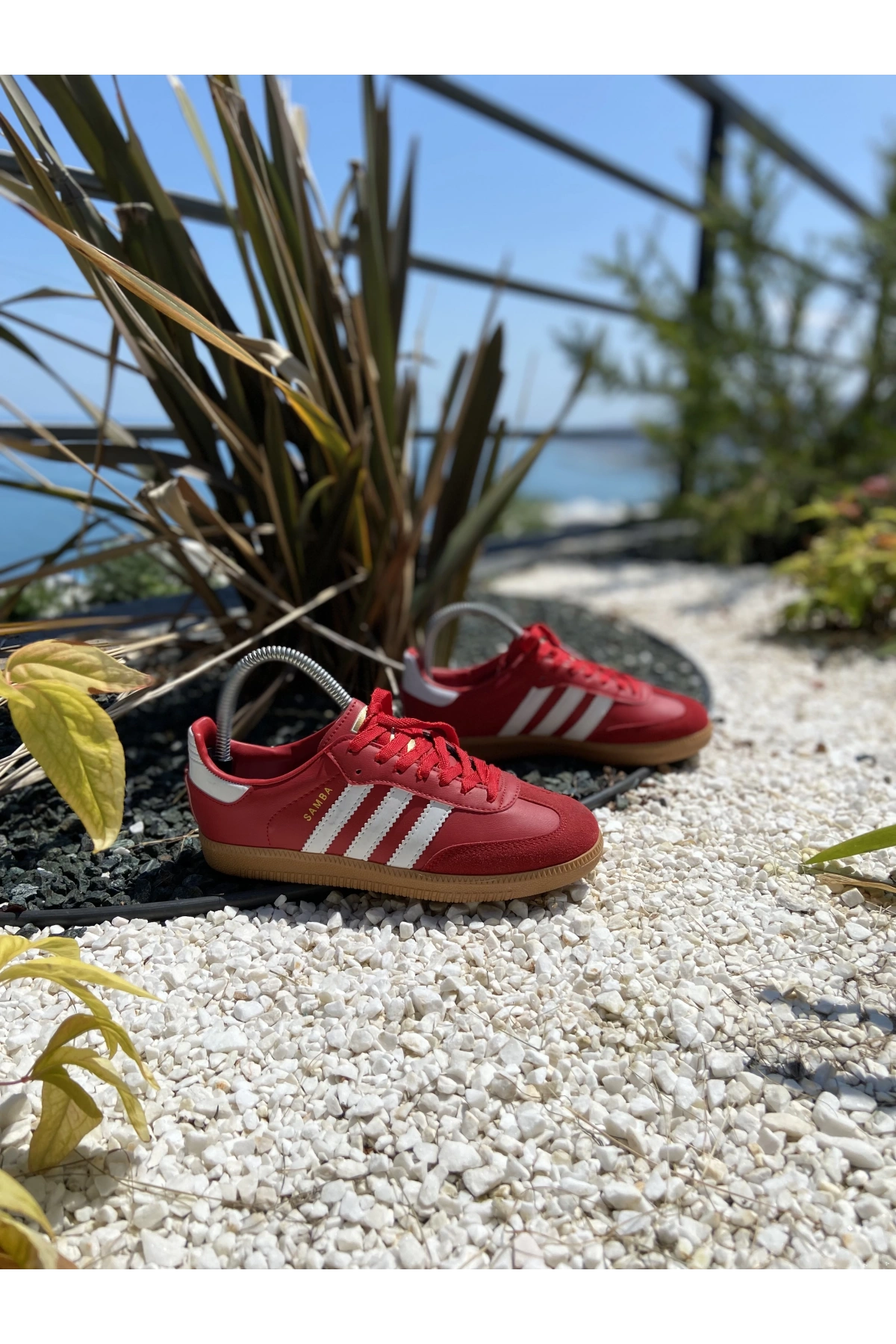 Adidas Samba Kırmızı Beyaz Unisex