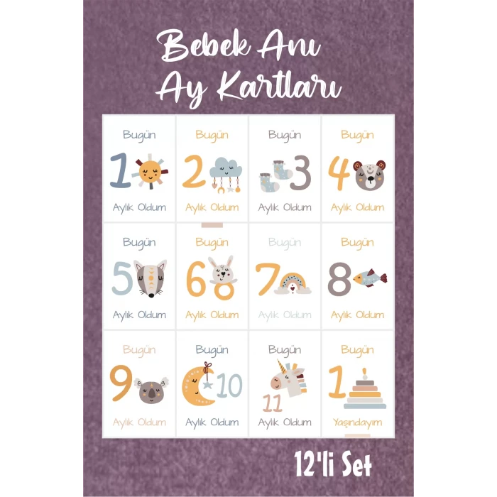Bebek Aylık Fotoğraf Çekim Anı Kartı ( ART )