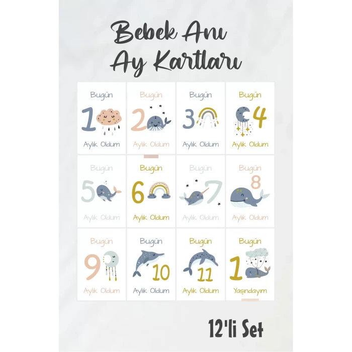 Bebek Aylık Fotoğraf Çekim Anı Kartı ( Sea )