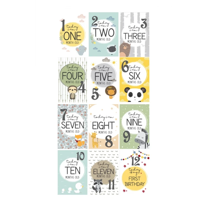 Bebek Aylık Fotoğraf Çekim Anı Kartı