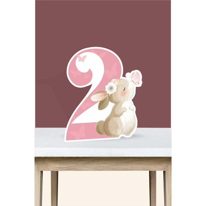 Kelebekli Tavşan Teması 2 Yaş Doğum Günü Seti