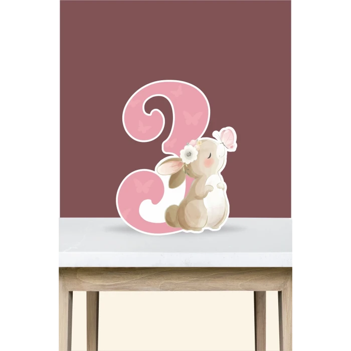 Kelebekli Tavşan Teması 3 Yaş Doğum Günü Seti