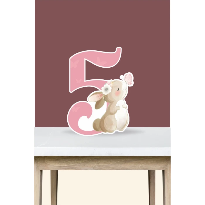 Kelebekli Tavşan Teması 5 Yaş Doğum Günü Seti