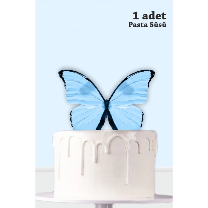 Mavi Kelebekli 3 Boyutlu Parti Seti Malzemeleri