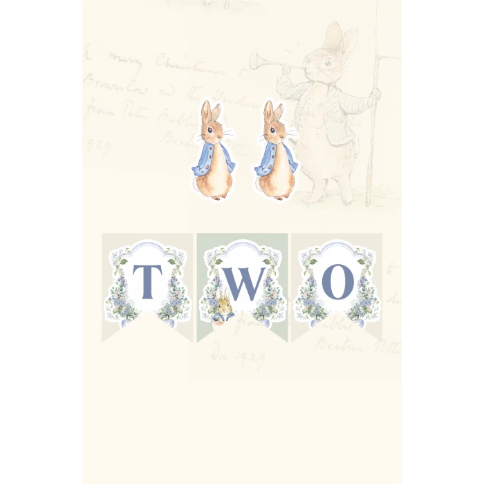 Peter Rabbit Tavşan Temalı TWO Banner (Kalın Kağıt) Doğum Günü