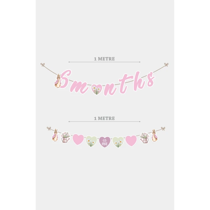 Pink Rabbit Pembe Tavşan Yarım Yaş Partisi Doğum Günü Seti 6 Months Party