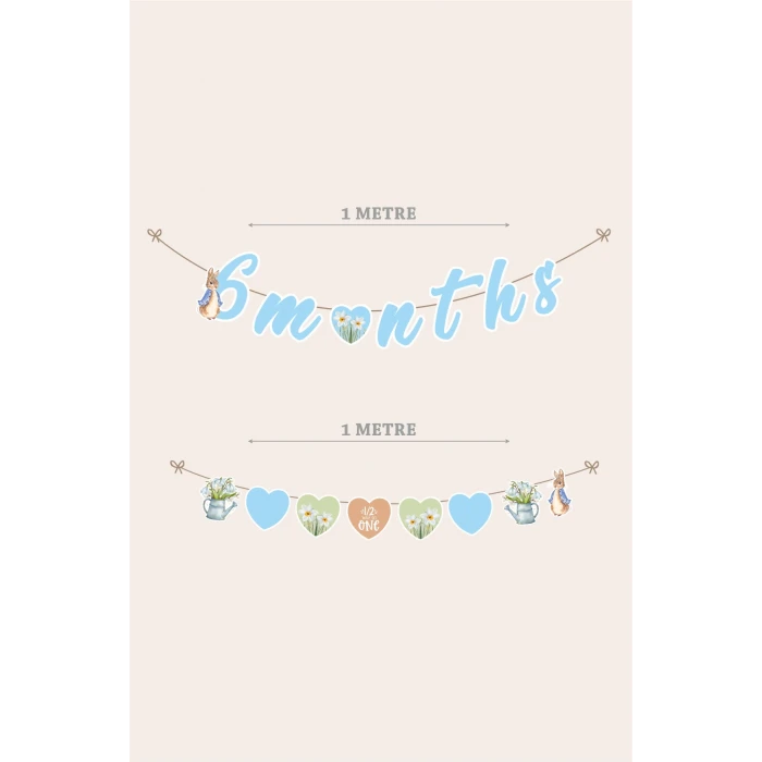 Peter Rabbit Tavşan Yarım Yaş Partisi Doğum Günü Seti 6 Months Party