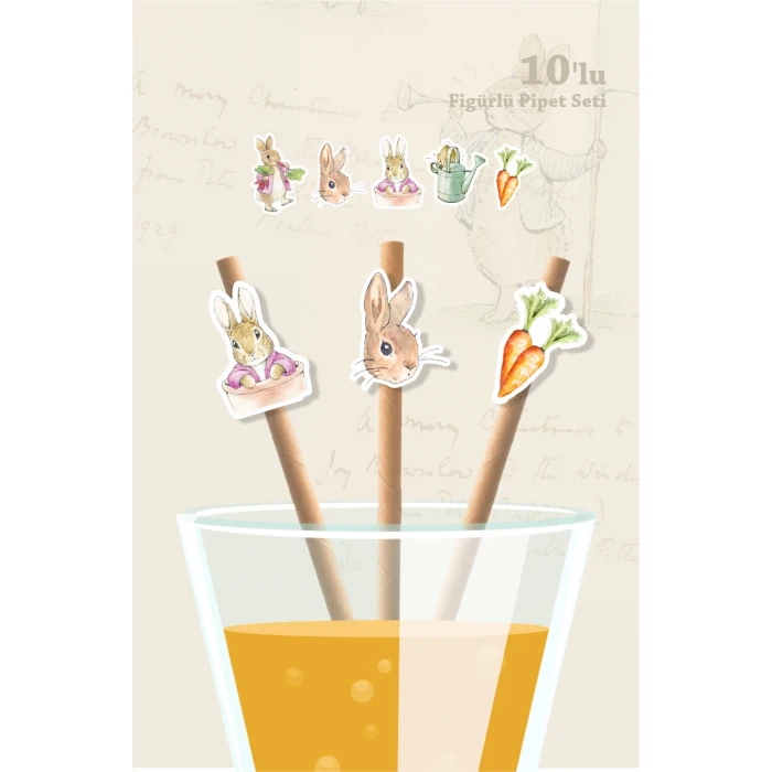 Pink Rabbit Pembe Tavşan Temalı 10lu Figürlü Pipet Seti