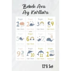 Bebek Aylık Fotoğraf Çekim Anı Kartı ( Sea )