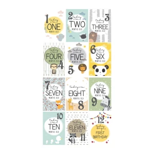 Bebek Aylık Fotoğraf Çekim Anı Kartı