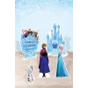 Frozen Karlar Ülkesi Ayaklı Pano Set *Doğum Günü