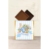 Peter Rabbit Tavşan Temalı Çikolata Sargısı *20li